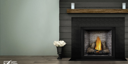 Napoleon Gas Fireplace